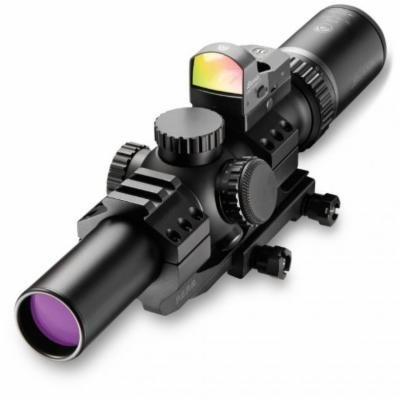 BUR RT6 1-6X24 30M IL FF3 SPF