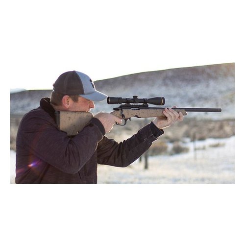 CHA RANGER BA 17HMR 18B TAN