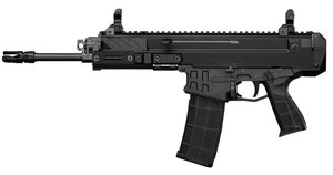 CZU BREN 2MS 5.56 PST 30RD 14B