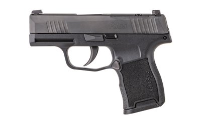 SIG P365 NIT PST 380 10R NS